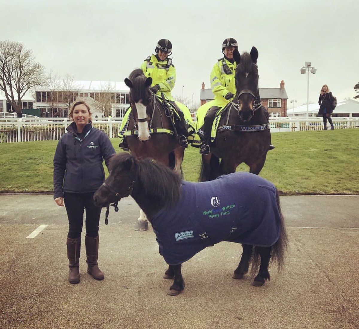 MerPolMounted's tweet photo. When Arnie and Major meet Yasmin from @HorseCharity at @AintreeRaces this afternoon We aren’t sure what Arnie thinks of her #StandTall #StandSmall #Aintree #GrandNationalFestival https://t.co/z21RFQXYm9