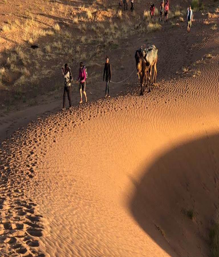 stephealthy's tweet photo. News just in! Our team scores for the #BigDevonMarch have just been published! A huge well done to Melissa who managed to walk 1,124,000 steps throughout the month. We've shared a photo of her recent Saharan trek, go Melissa! #MarchWithUs https://t.co/d4b7x0CfR5
