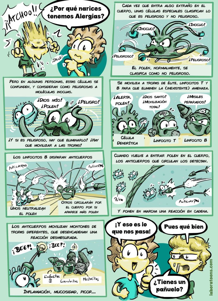 ¿Por qué diablos tenemos #alergias? ¿qué ocurre en nuestro interior? En el link, el #comic completo! laboratoons.com/portfolio/por-… #cómicscientíficos #MedicinaGrafica #inmunología