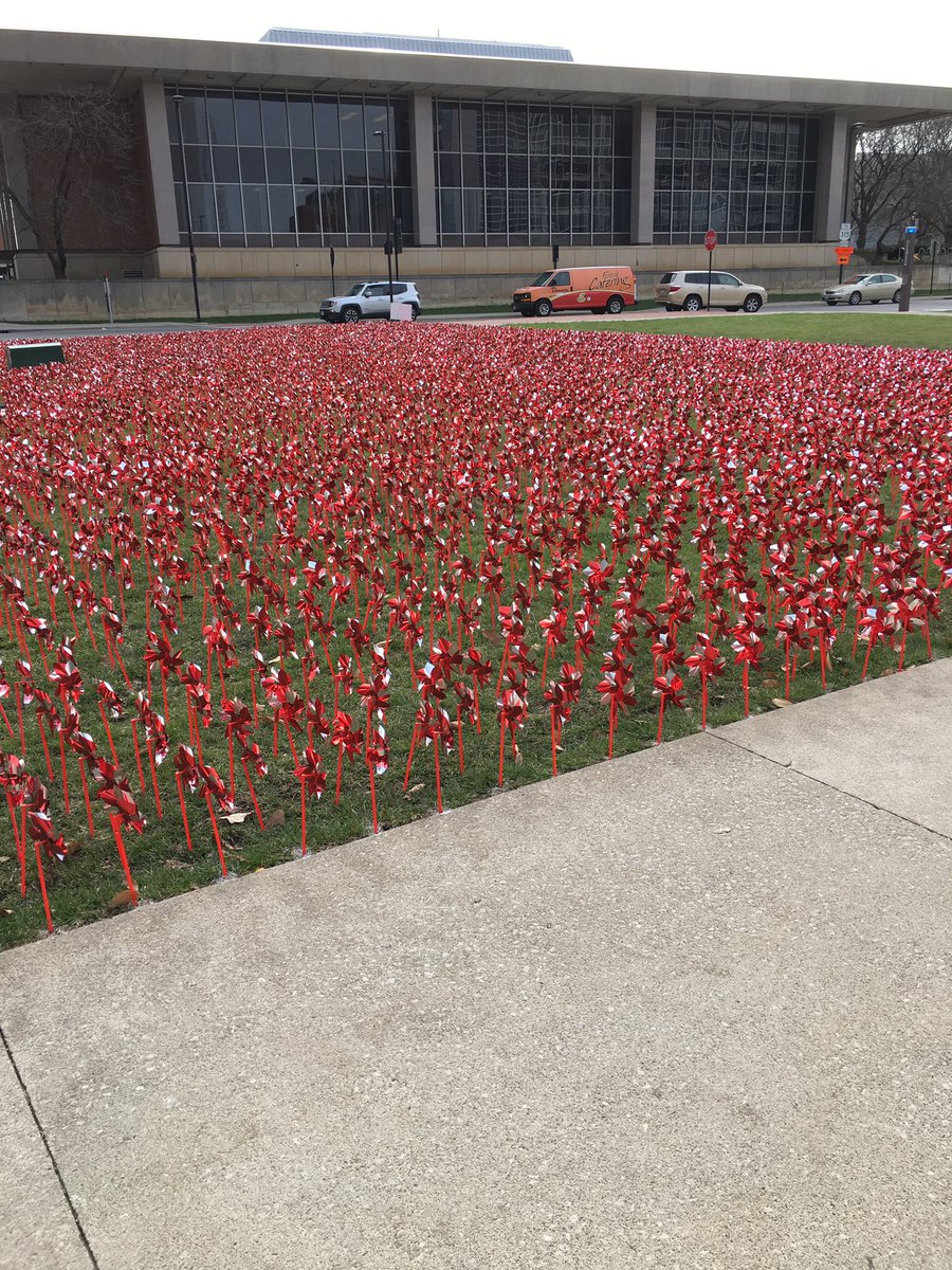 #organtransplants this is our pinwheel garden. 9700 pinwheels.  one for each organ transplant done at Ohio State University since 1967