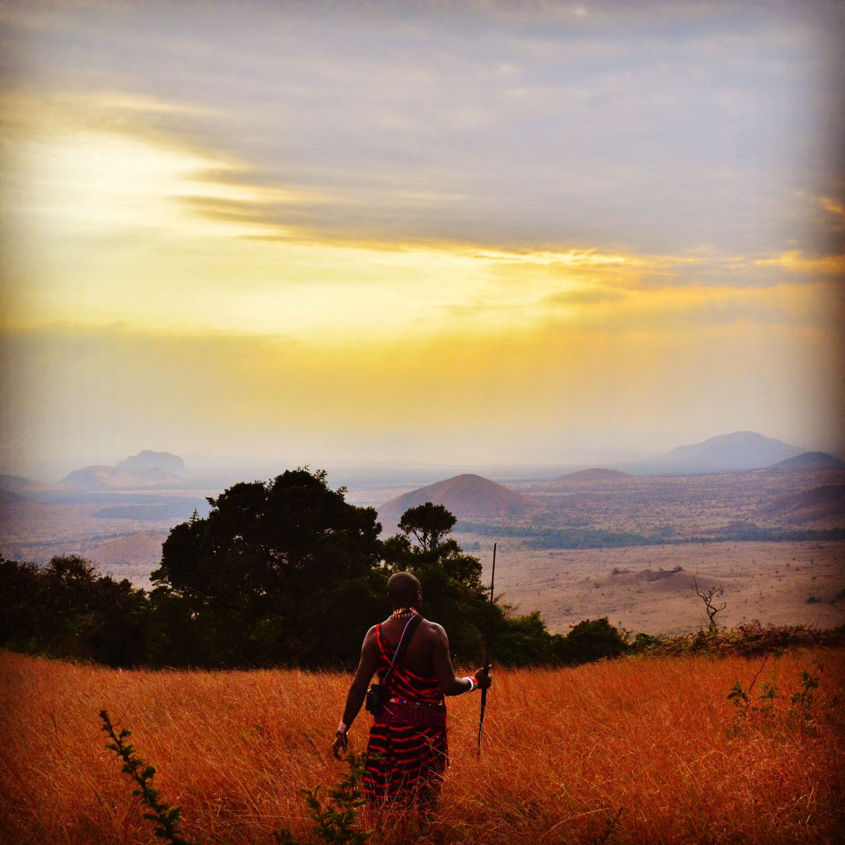 MarchOnMemphis's tweet photo. The road less traveled is the one yet to be seen. 

Photo by Sho Hatakeyama 

#savethechildren #savetheworld https://t.co/0eKeBRrlNn