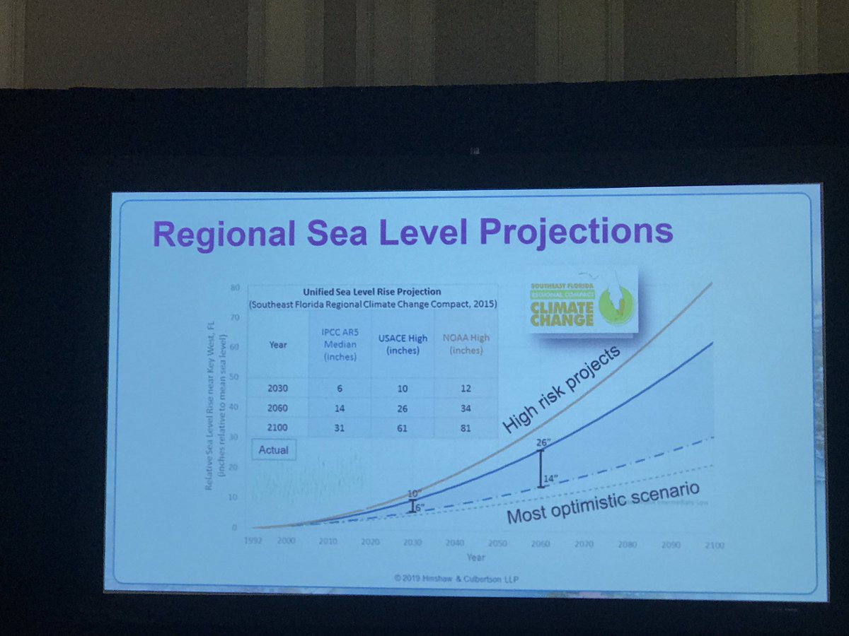 Raina B Greenfest tweet media