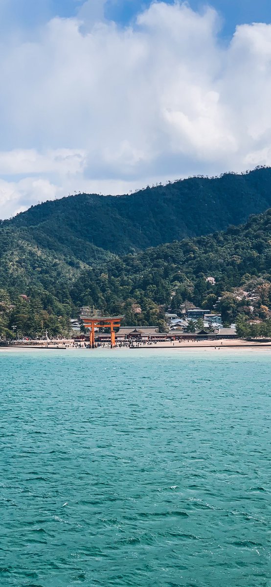 Dimitry49's tweet photo. Making some iPhone Xs wallpapers from my Japan trip 🇯🇵 #ShotoniPhoneXs https://t.co/x1qQoEu0UQ