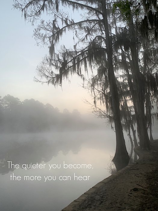 ArtSolutionsInk's tweet image. New artwork for sale! - &quot;Fog on the Lake&quot; - fineartamerica.com/featured/fog-o… @fineartamerica