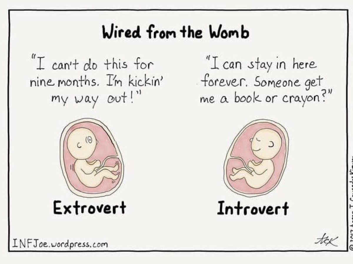 TheHighlySensitiveParent (@hspparent) on Twitter photo 