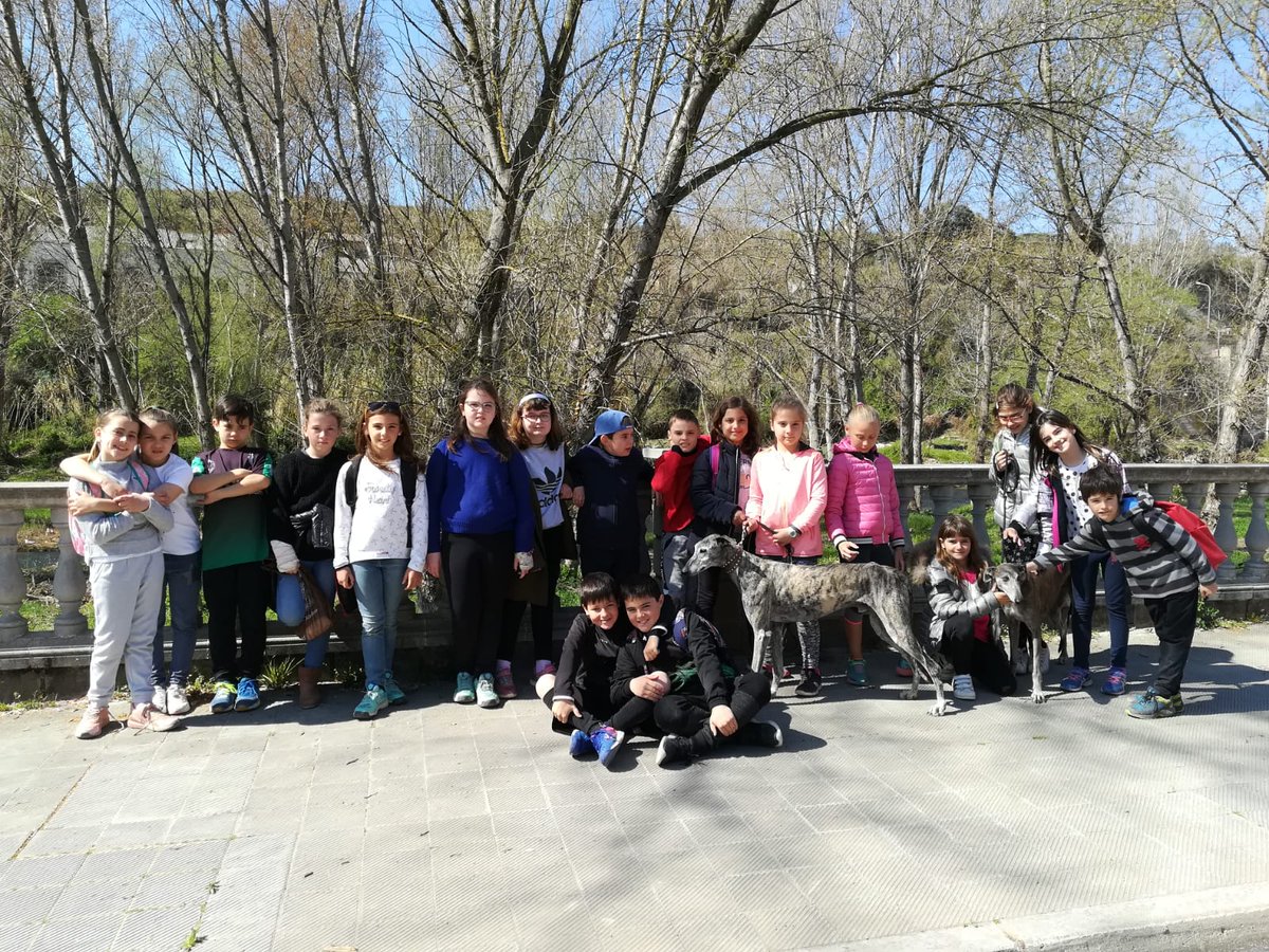 COOPPAIDOS's tweet photo. Els alumnes de 3r i 4t d'#EducacioPrimaria, van visitar la protectora de Sallent @SEPROANsallent ! Van poder ajudar als voluntaris a netejar 🧹 a passejar els gossos 🐶 i van veure com viuen els gats 🐱 #TotsSomPaidos #SortidesPaidos @montpeita @agrescatAEC @EscolesCoop @FTrams https://t.co/PTIF8gQpVO