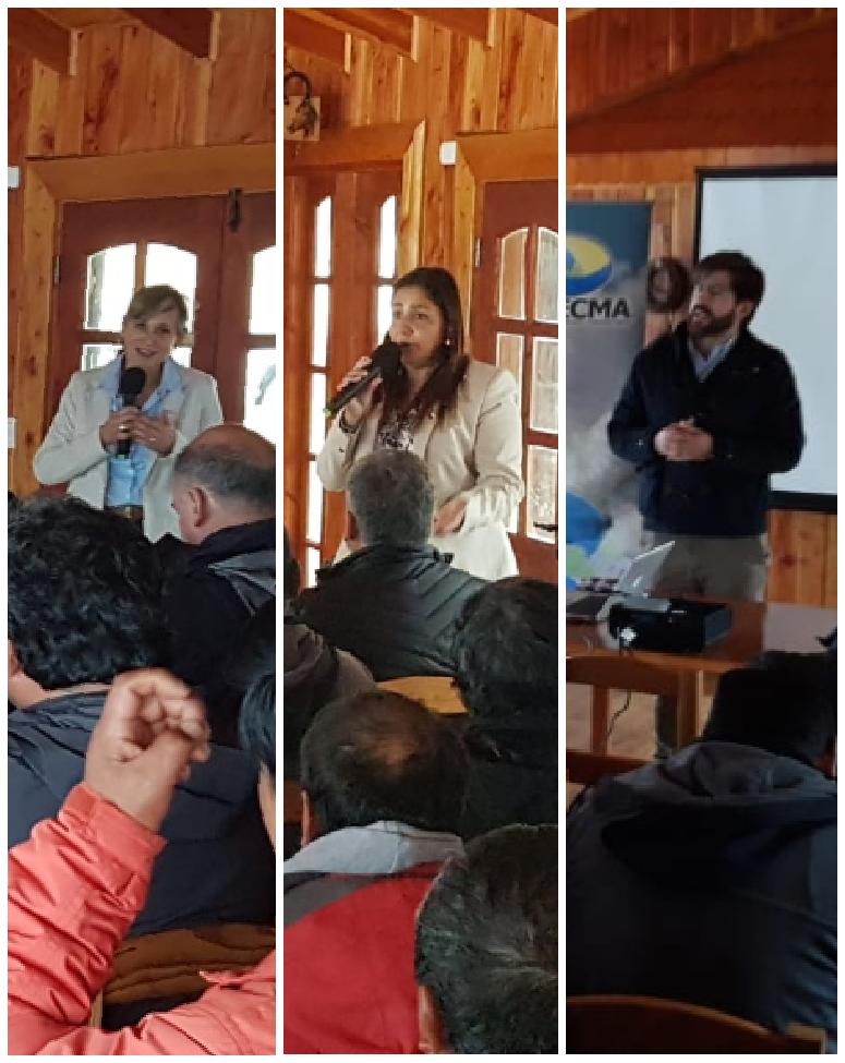 BITECMA's tweet photo. 1° jornada de trabajo: "Estudio para el repoblamiento y/o cultivo de especies nativas en áreas de manejo de la #RegióndelosRíos".
Presentes: Ángel Beroiza (@corporacionlosr), @viancamv ( @Economia_R_XIV) y @syungew (CORE).
#BITECMA: Armando, Hugo y Juan Carlos. https://t.co/RBHMaaG8AW