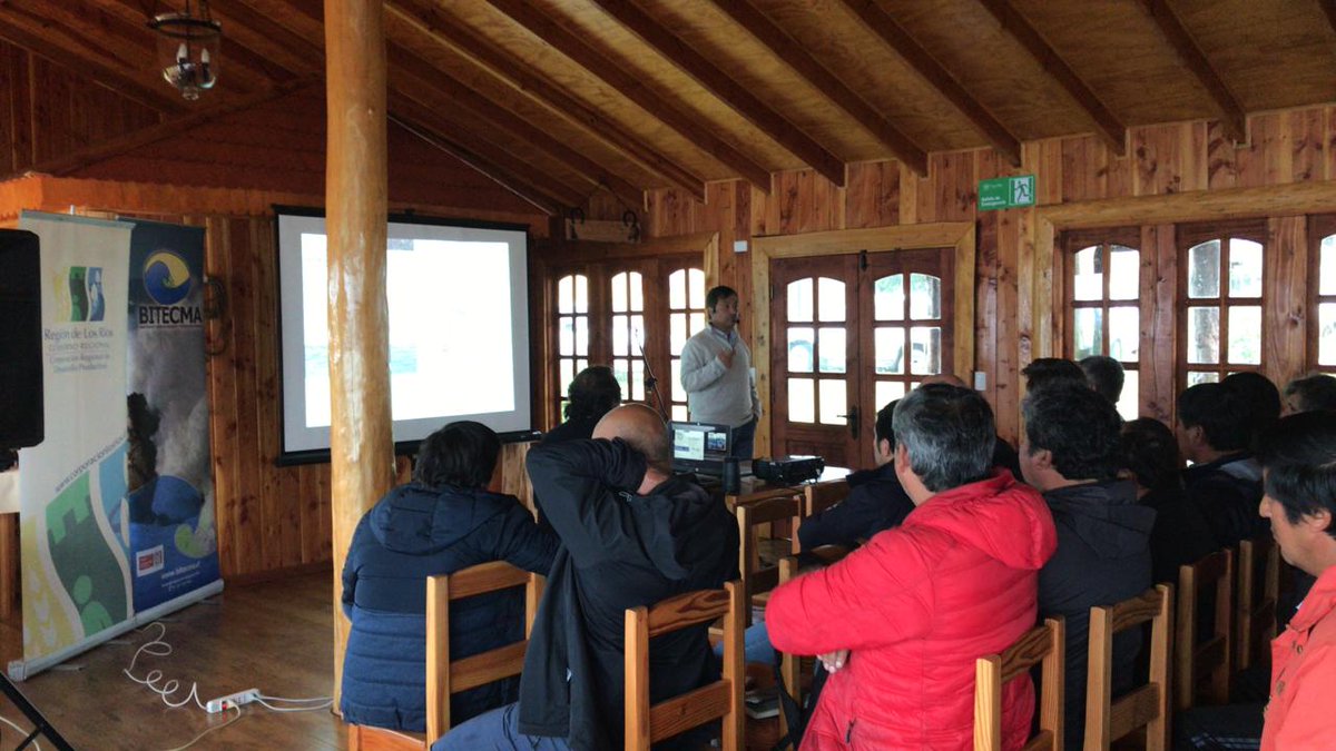 BITECMA's tweet photo. 1° jornada de trabajo: "Estudio para el repoblamiento y/o cultivo de especies nativas en áreas de manejo de la #RegióndelosRíos".
Presentes: Ángel Beroiza (@corporacionlosr), @viancamv ( @Economia_R_XIV) y @syungew (CORE).
#BITECMA: Armando, Hugo y Juan Carlos. https://t.co/RBHMaaG8AW