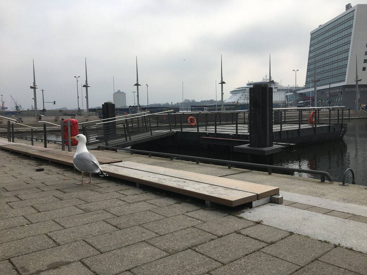 stadt_kiel's tweet photo. Der #Bootshafen in #Kiel bekommt einen neuen Ponton. Dafür muss die Fußgängerbrücke am Berliner Platz am Freitag, 12. April, morgens für einige Stunden gesperrt werden. Der neue Ponton besteht aus Aluminium und ist etwas größer als der alte Ponton. https://t.co/eziSXdQyRu