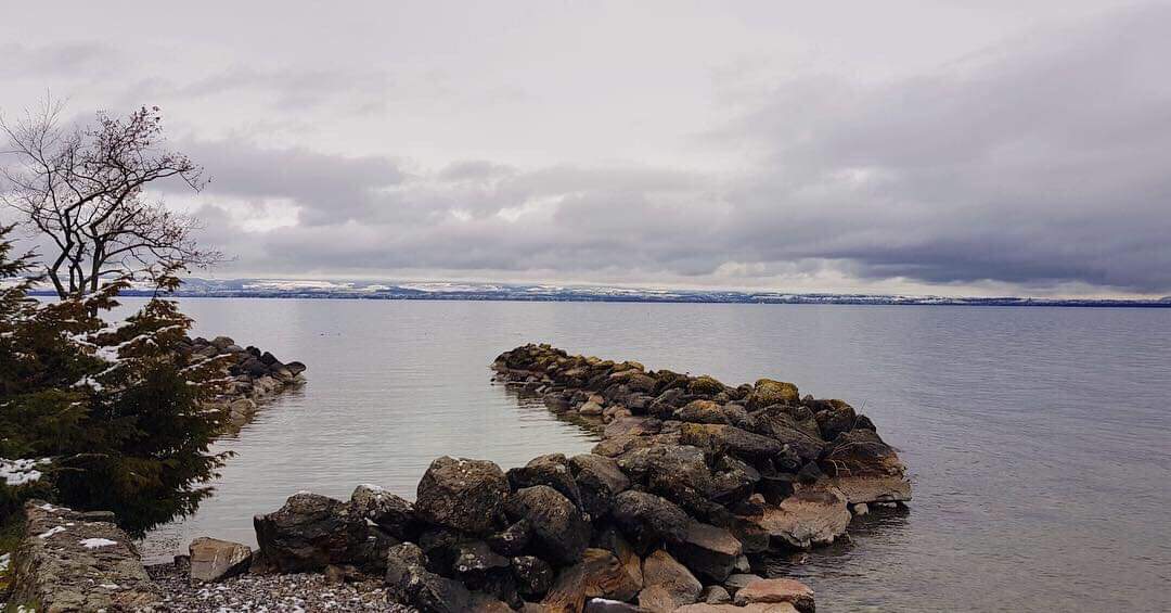 ExplorGames®️ by Atelier Nature tweet media