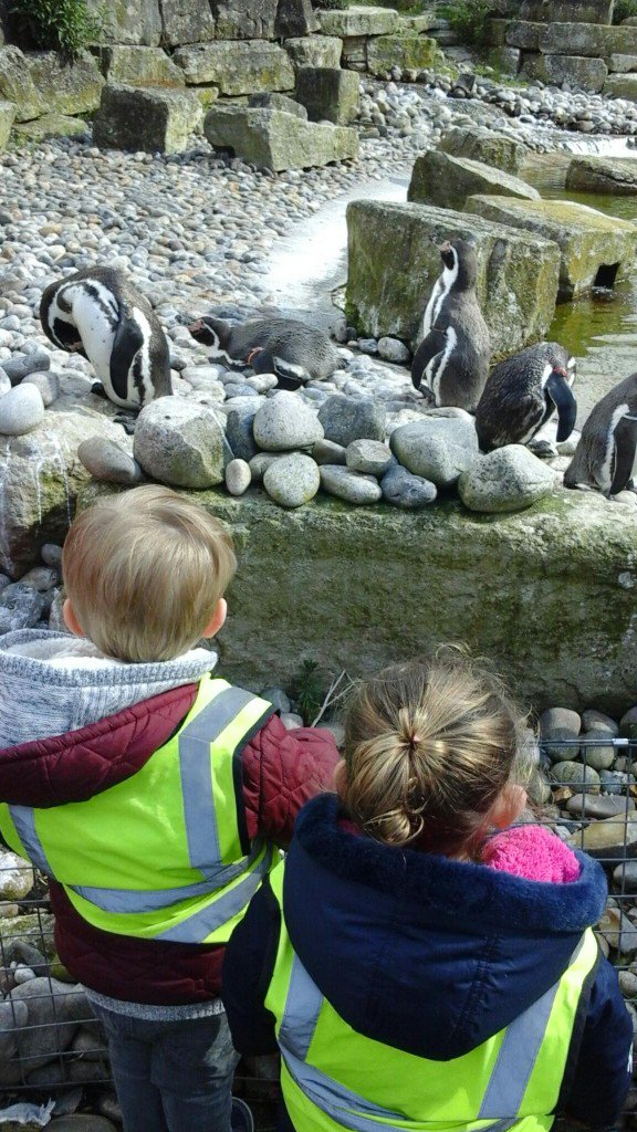 Bright Horizons Fair oak tweet media