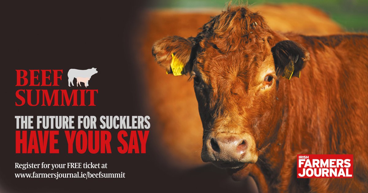 farmersjournal's tweet image. Tickets are moving fast! The @farmersjournal has organised a major Beef Summit which takes place in Athlone on 09 May (7-10pm). Minister @creedcnw will address the Summit with industry leaders in attendance. Register for your free ticket at bit.ly/2K43K3H #beefsummit