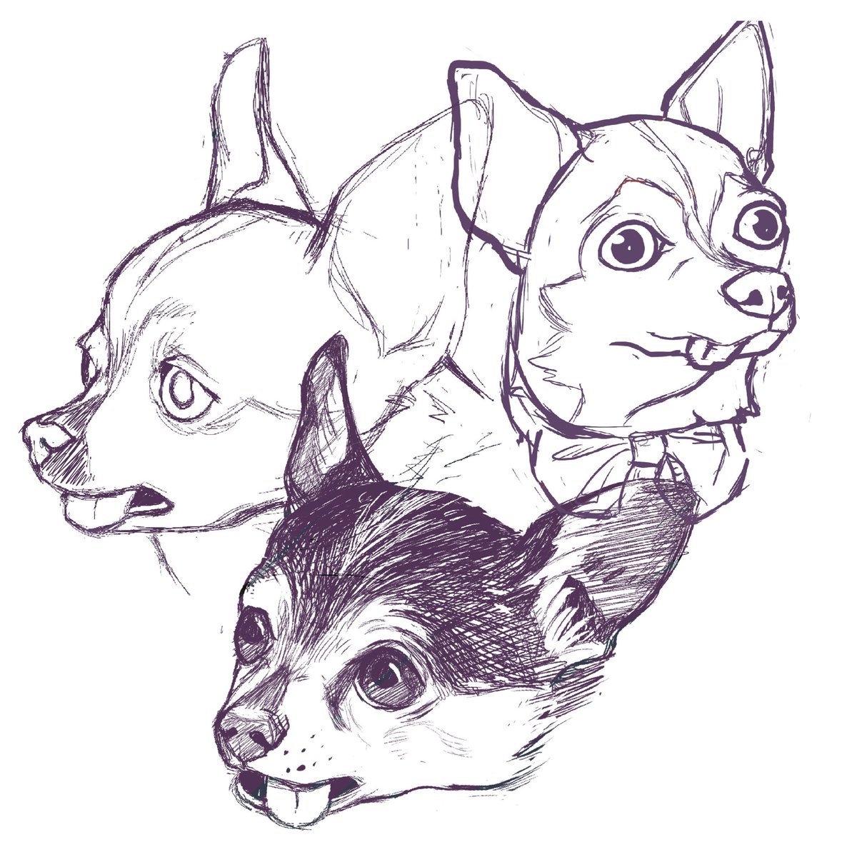 MaddyWilsonArt's tweet photo. Some warm up #sketches of #MrMarbles because after @Jenna_Marbles posted the video of her trying to teach that silly senior to sit I had all the feels and thought about my old deaf man cat ♥️ Painting or two of Marbles will be around the corner. #jennamarbles #marbles #doodle https://t.co/LKHjHuzKhV