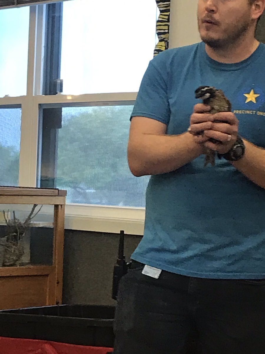 cafmbg's tweet photo. Mrs Gary class is listening to a presentation about animal adaptation at the Challenger 7 Memorial Park https://t.co/i6jAr87Hzf