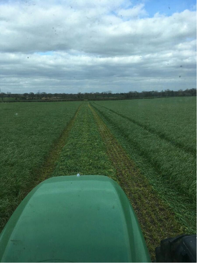 WynnstayGroup's tweet photo. Our customer, @rjfryer76 is continuing to see great results from his Wynnstay Fast Grass mixture, sown 30th July 2018, 79 bales in October and a further 60 bales on 28th March 2019! 🌱
#AgriculturalGrass #Wynnstay #FastGrass https://t.co/g1IzyemKIR