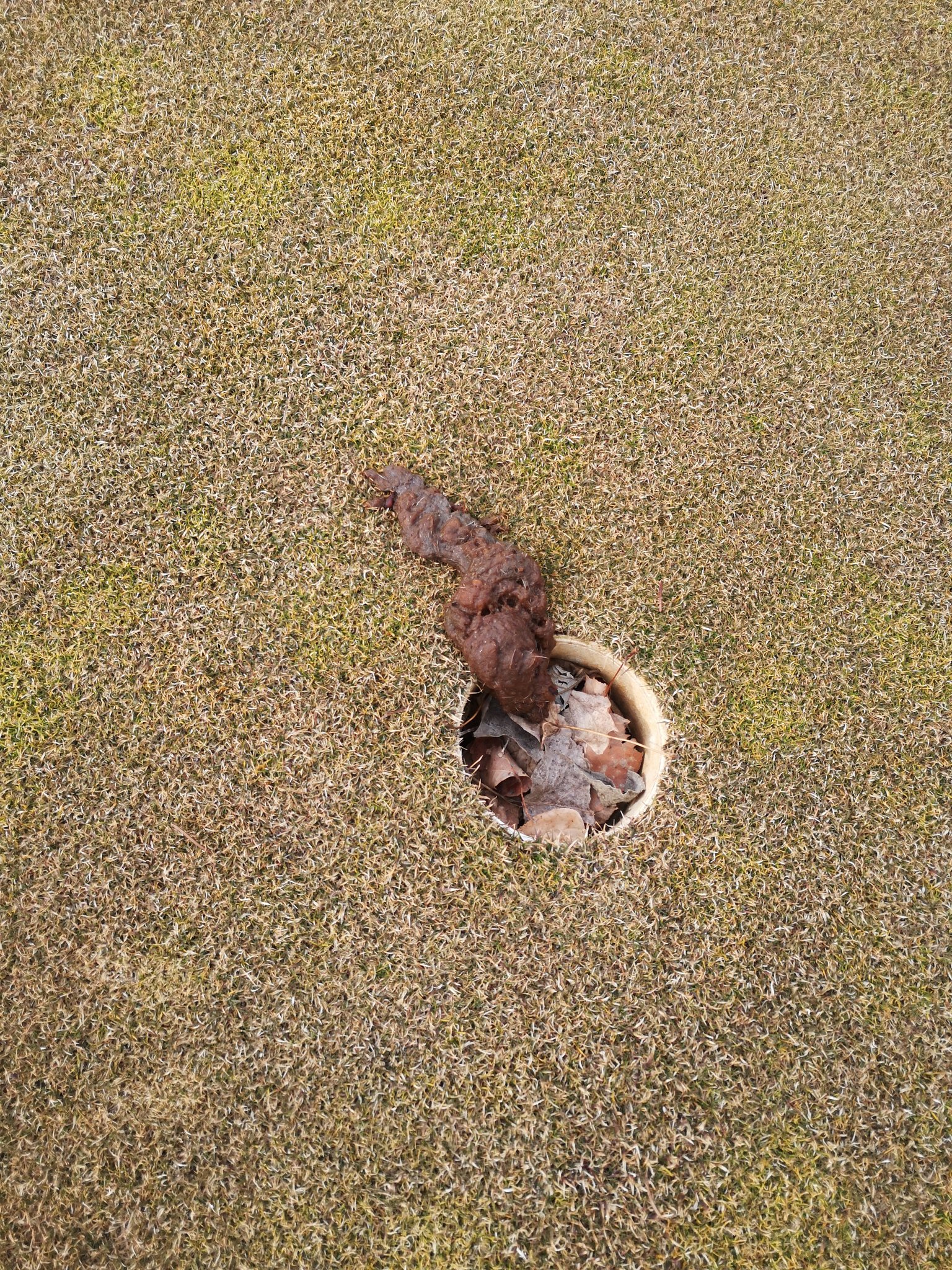 Complete Turf Equipment (EquipmentTurf) / Twitter