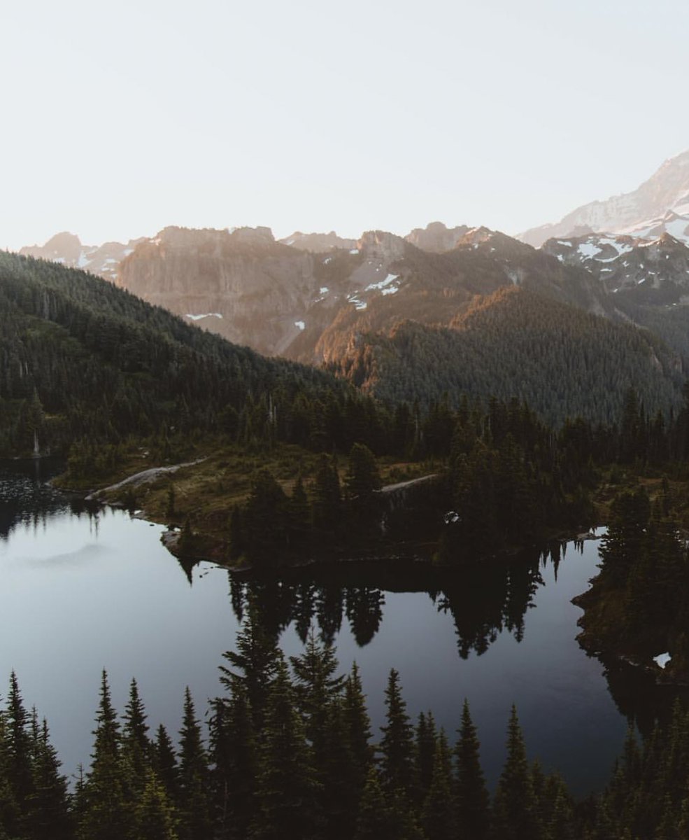 coffee_n_mtns's tweet photo. Mount Rainier https://t.co/39lP66cjlo