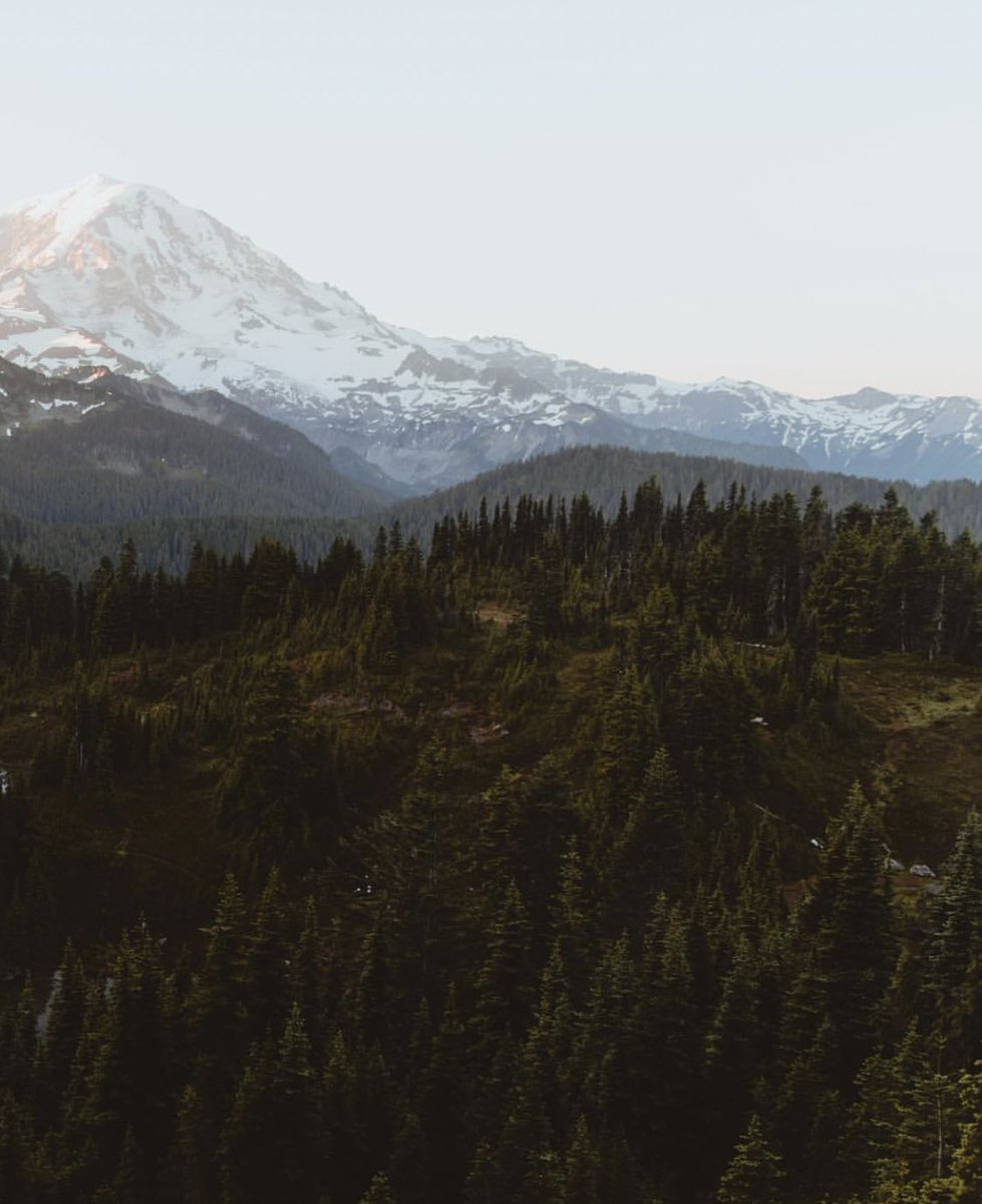 coffee_n_mtns's tweet photo. Mount Rainier https://t.co/39lP66cjlo