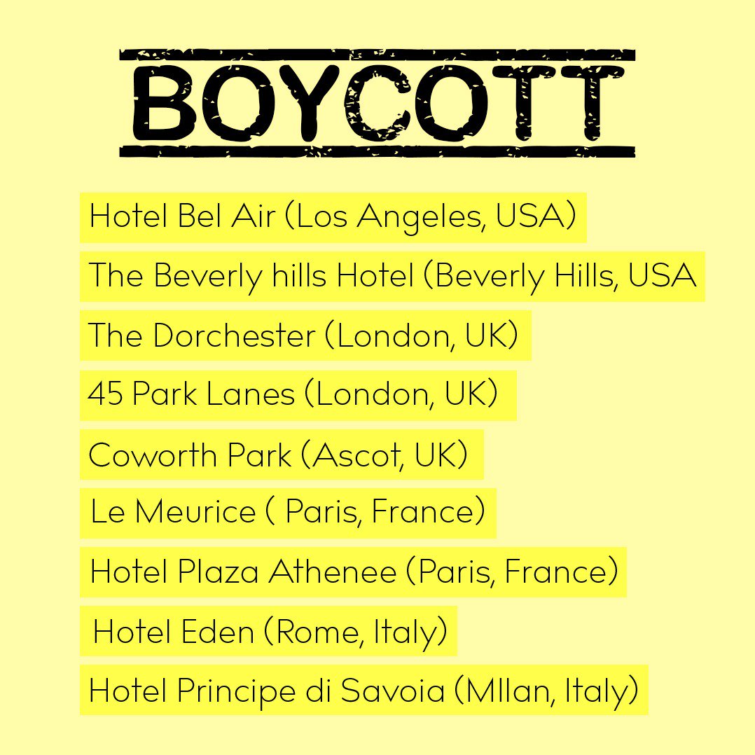 Paloma Faith tweet media