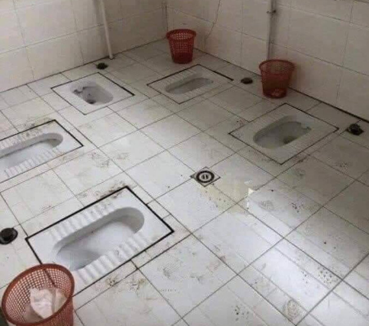 Школьный туалет чаша Генуя