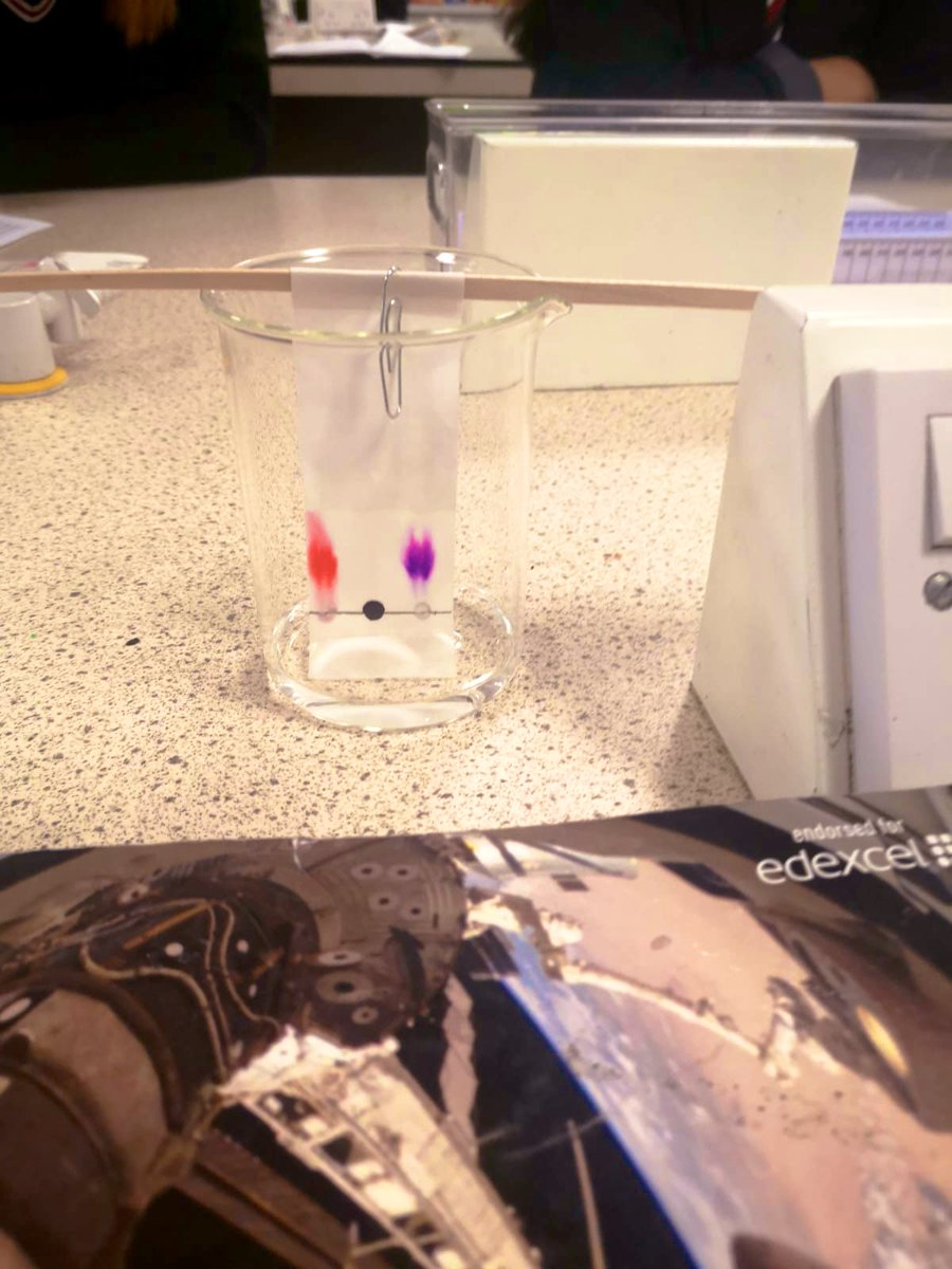 GAA_science's tweet photo. More #GCSE #corepractical work today from our year 11s - separating mixtures and calculating Rf valuesπ©βπ¬ https://t.co/YT3gqCKfm7