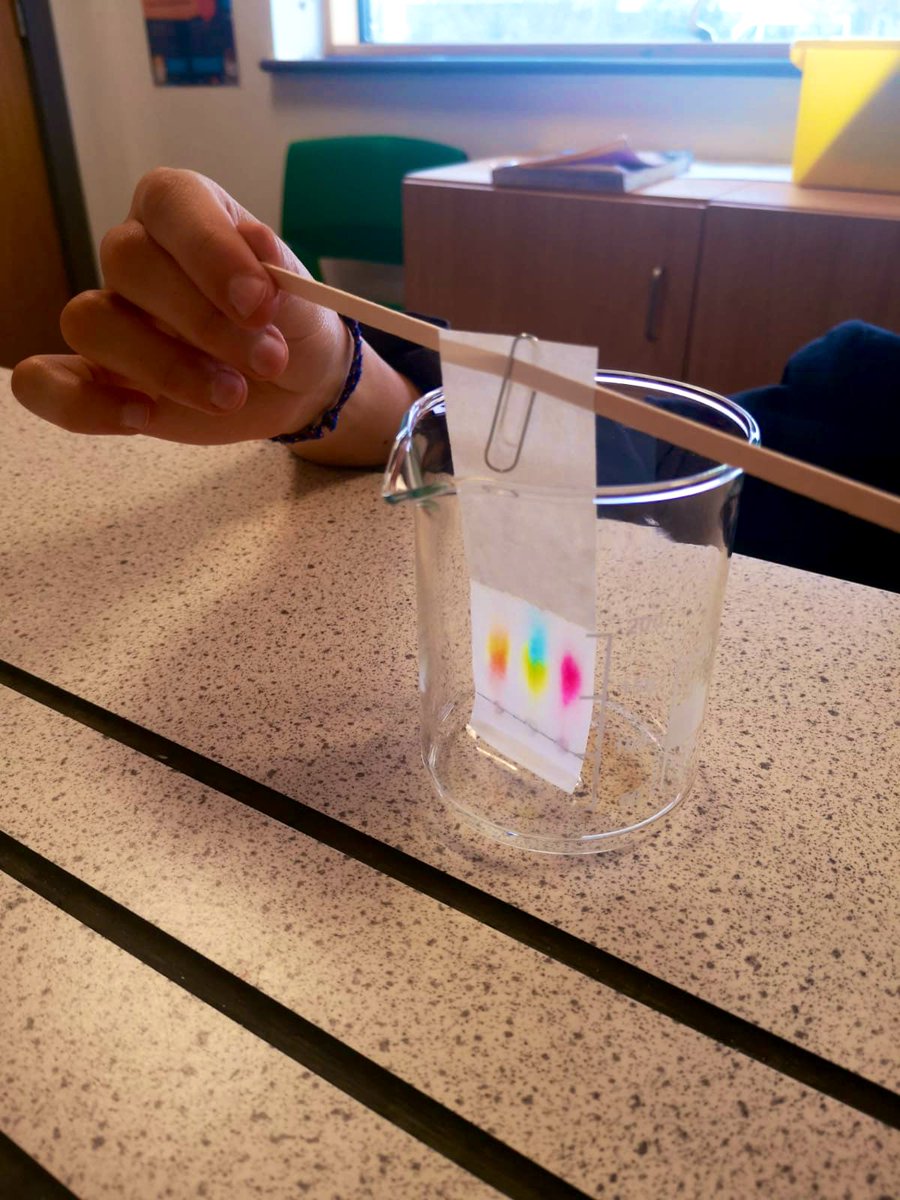 GAA_science's tweet photo. More #GCSE #corepractical work today from our year 11s - separating mixtures and calculating Rf valuesπ©βπ¬ https://t.co/YT3gqCKfm7