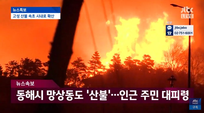 [속보] 동해시 망상동도 '산불'...인근 주민 대피령