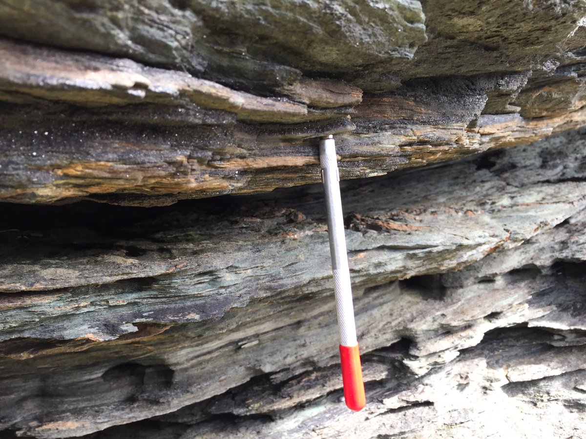 NanoPaleoMag's tweet photo. Paleomagnetists look away now. Glistening magnetite bands in the Tintagel volcanics. Rather magnetic! #SW2019 https://t.co/XEdhdMLQ0h