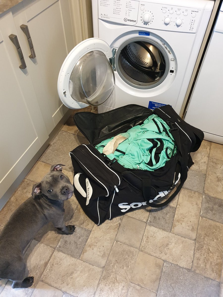 Gateshead FC Supporters Society tweet media