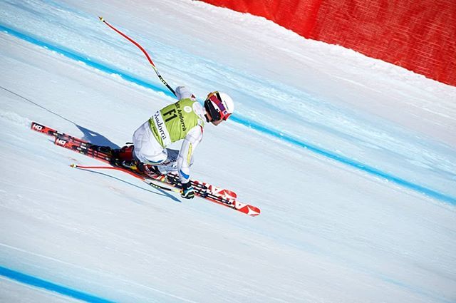 Robert Solsona tweet media