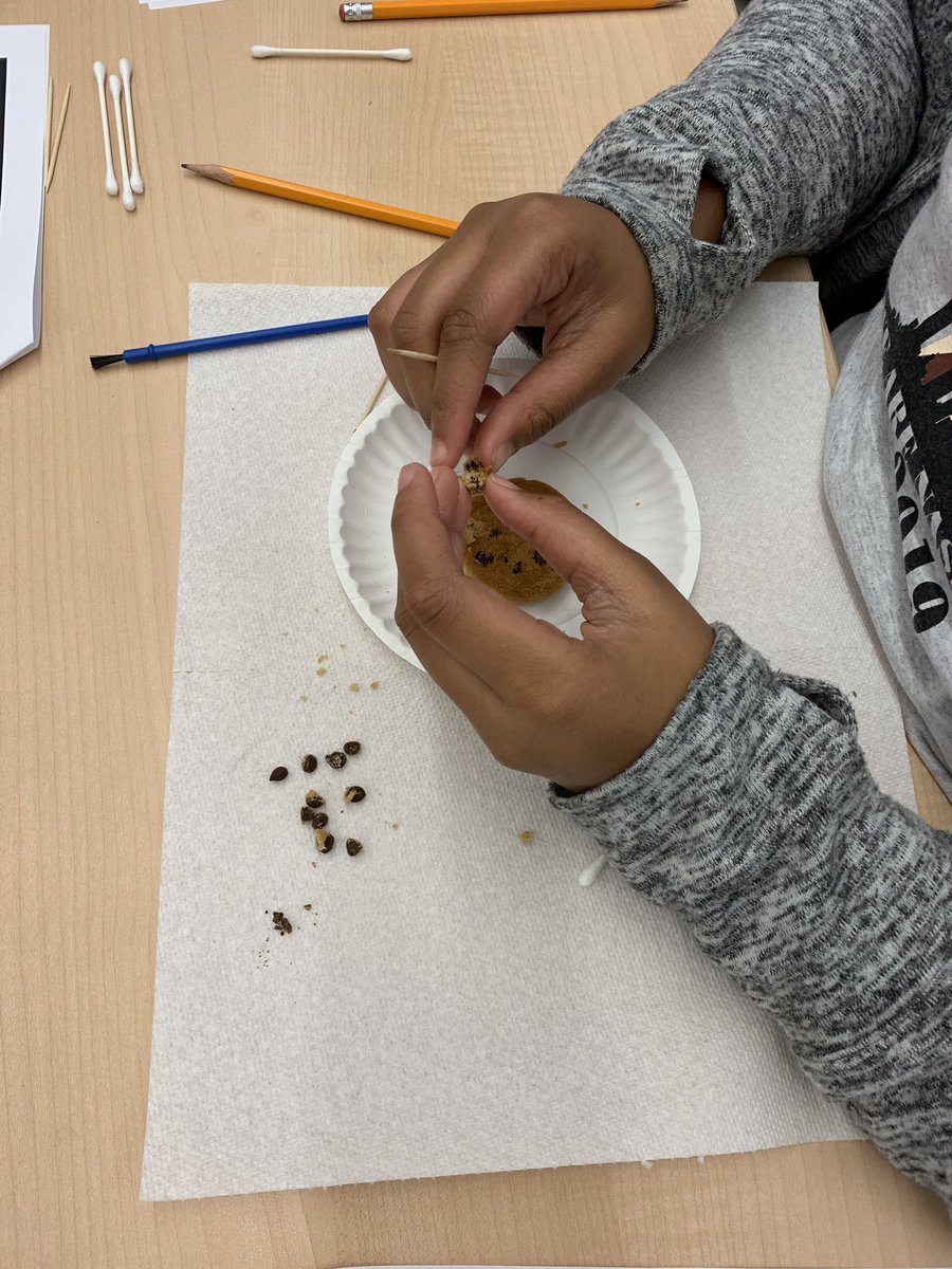 WBE_Library's tweet photo. Science fun in the library today! Excavating for “fossils” in cookies! 4th grade paleontologists from @4thwithMsGentry did awesome work! https://t.co/L56d7fdxjd