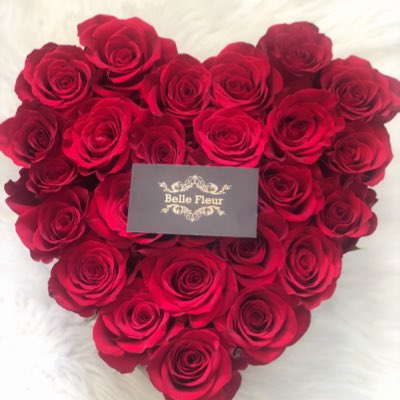 bellefleurrd's tweet photo. #NuevaFotoDePerfil https://t.co/3iw80tYLa6