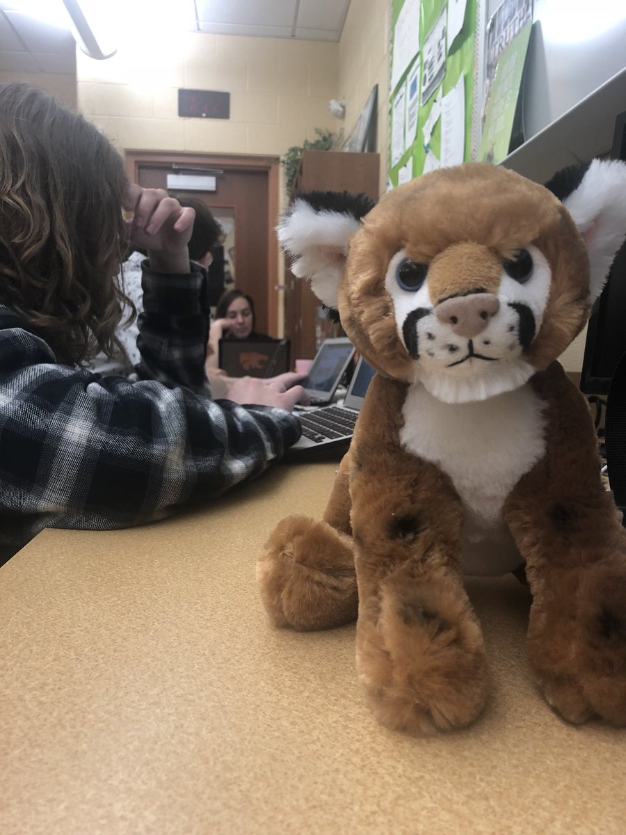 Coug_Chronicle's tweet photo. Issue #4 underway🐾🐾 https://t.co/i6cPynrh3J