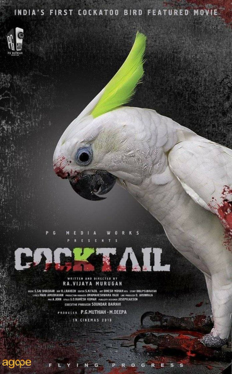 agape_entertain's tweet photo. Here you go...
#BirdLookPoster
#PGMediaWorksNext
India's First Cockatoo Bird Featured Movie...
#Cocktail
#PGMediaWorks
@MuthaiahG
@Pgmediaworks @RaVijayamurugan
@Editor_SN_Fazil
@SOUNDARBAIRAVI @johnmediamanagr 
@agape_entertain @iantoprasanth https://t.co/LS3nlF03JN