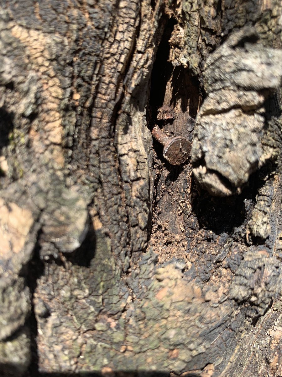 FLHS_Mberisha's tweet photo. This is an example of anthropogenic activity @FLHS_Brett @FLHS_emorales @jtravisflhs https://t.co/FhxmRCBo9N