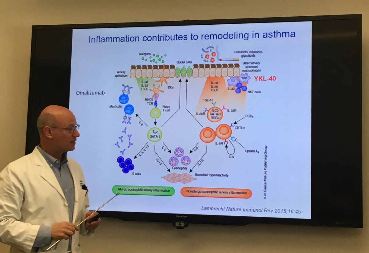Today’s Pulmonary Research Conference: Precision medicine and novel biologics in asthma - hearing from @gchupp about YKL-40 and its role in asthma! #YCAAD @YalePCCSM #bestfaculty