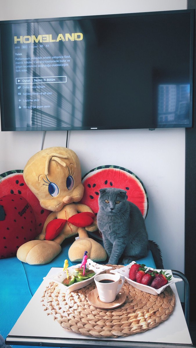 En çok özlenenlerde bugün dizi modu 🎬 (@ Nef 03 Kağıthane in Kâğıthane, Kagithane) swarmapp.com/c/hndivoCAhZP