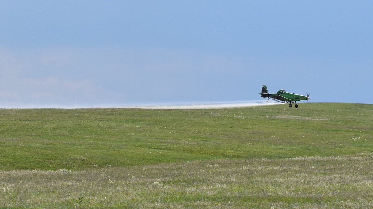 airsprayers's tweet image. The Green plane making Green pastures in the 307! #dointhehumptyhump #keeponhumpin #smokinjoe