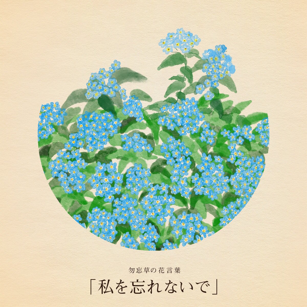 はな言葉 新刊出ました きょう4月5日は 清明 ヘアカットの日 横町の日 オープンカーの日 小笠原返還記念日 よごそうデー デビューの日 新子焼きの日 誕生花はワスレナグサ 花言葉 私を忘れないで