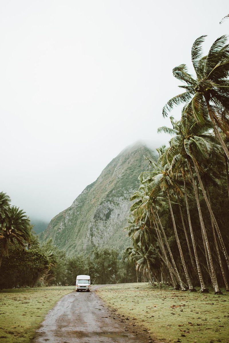 HawaiianAir's tweet photo. The official color of Moloka‘i is green, and we can see why 😍
📷: @ElanaLoo https://t.co/ogwNGugZY5