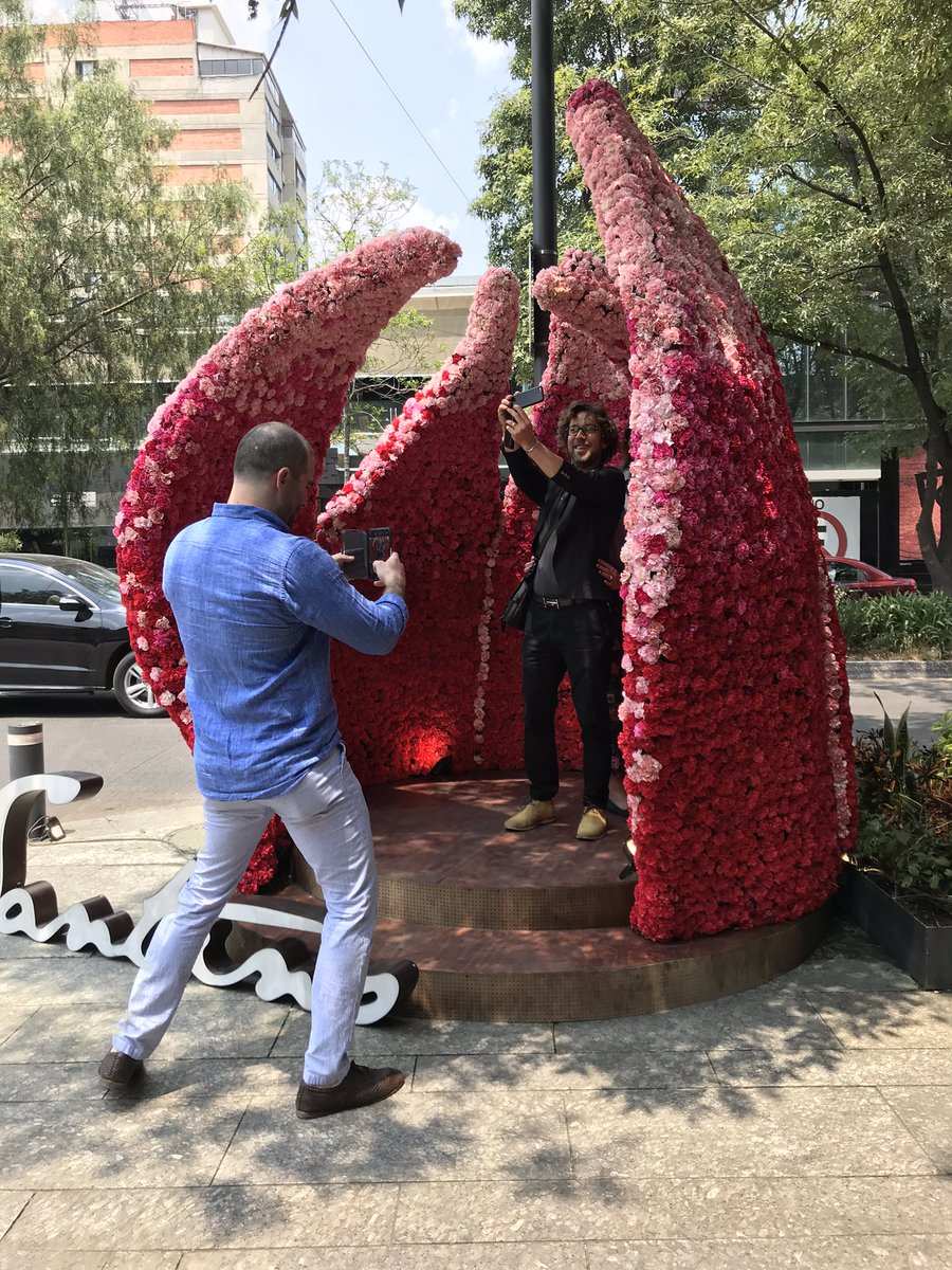 berkanashopmx's tweet photo. #fyjamx
@fyja
#FYJAPolancoEnFlores
#quetedicenlasflores
R@bodinbodinarq
@gggggsantinomexico
#diseñandolindo
@cristinaelguero
#14aniveesariosantinopolanco
https://t.co/O1ZpbLOquG
#polancoenflores

Ven a tomarte la foto vota por nosotros https://t.co/RHFn3FURQB