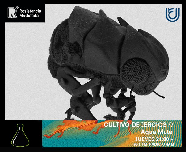 RModulada's tweet photo. El laboratorio de #CultivoDeJercios recibe la visita de @aquamute2 en la cabina aséptica de @RadioUNAM. Compartirá música y los detalles del próximo evento de Aeronema y Movelike. Sintoniza el 96.1 FM a las 21:00 h o en línea➡️ https://t.co/3BxmB9CO9e https://t.co/XCjypqJp38