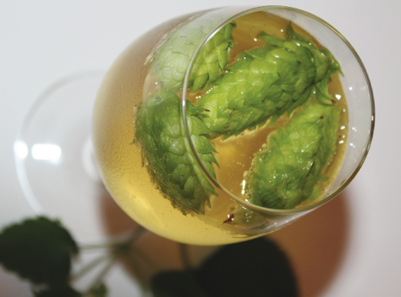 DrinkingCiders's tweet photo. Hopped Cider - Brew Your Own #diy #cider #makecider https://t.co/SafI5llGI5 https://t.co/xCW0EGq0GY
