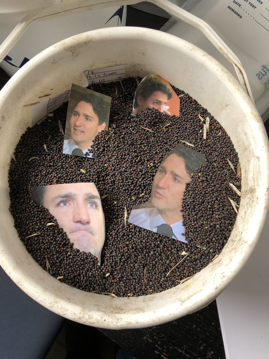 Check your bins folks.  I found the pest the Chinese are talking about. Looked up control methods...new product called Election XL will work but not available until October.