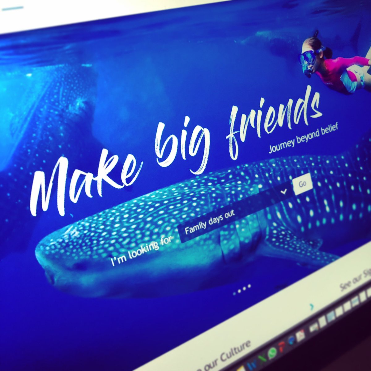 ryzelive's tweet photo. Not all our initial concepts make the cut, but they all progress the idea and continue the project journey to the right destination. #progressivedesign #ridewithryze #lovedesign #lovedigital #webdesign #app #ui #ux #teesside #newcastle #uk #international #digitalagency https://t.co/OTAHUxaumG