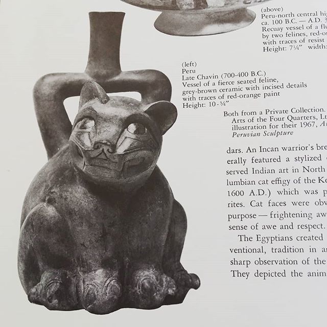 SZemblowski's tweet photo. Cat research
.
.
#library #peru #catvessel #cat #vessel #book #research #ceramic #ceramics https://t.co/XS1Gz7lNnK https://t.co/9XrTCh4xXo