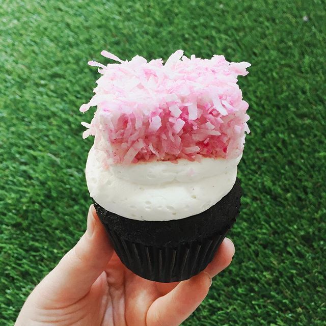 katiebugsokc's tweet image. These cute little guys are Melissa's take on the Snowball snack cakes she use to take in her lunch! Our signature chocolate cake filled with a coconut buttercream and topped with a homemade snowball marshmallow. #dyefree #naturallysweet #katiebugssipsand… ift.tt/2CWVaxH