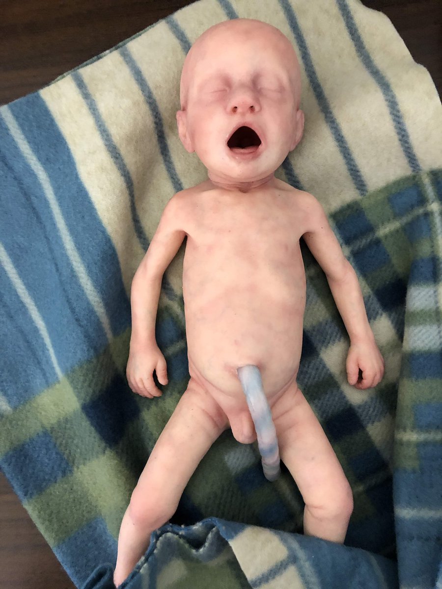 Thrilled to partner with #roguecommunitycollege as they welcome their new @Lifecast_Body family into their facility! #paramedics in full training