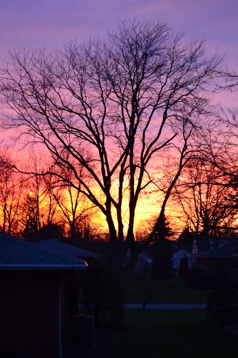 AileenWStewart's tweet photo. #writerscommunity #tenfacts about me. Fact #6 = I think God is an amazing artist. https://t.co/JJax96awG2