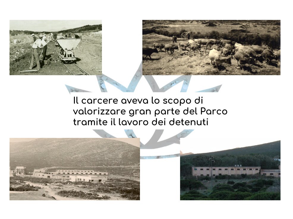 Baia delle Ninfee tweet media